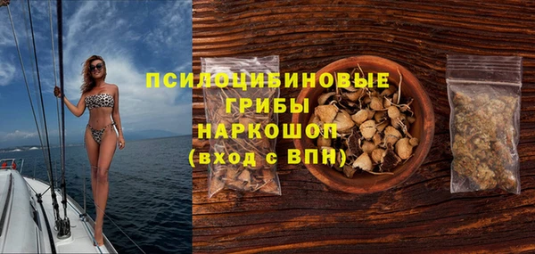 спиды Гусев