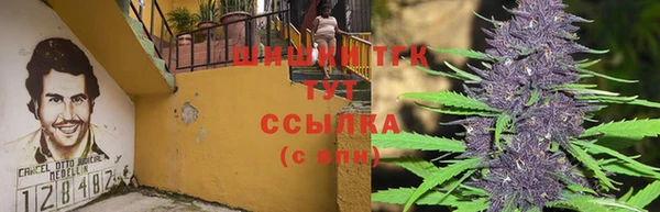 шишки Гусь-Хрустальный
