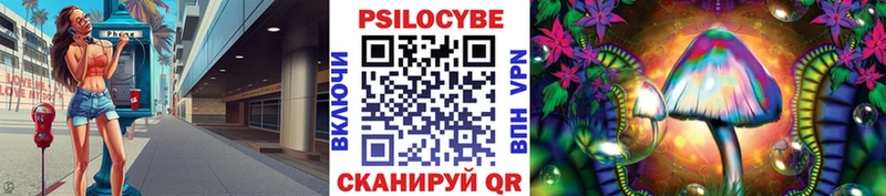 Псилоцибиновые грибы Psilocybe  Чегем 