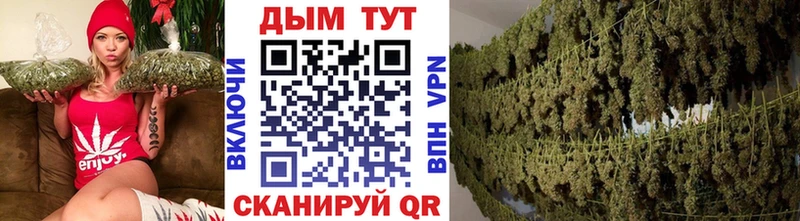 Бошки марихуана MAZAR Чегем